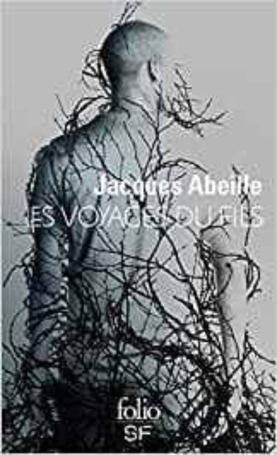 Les Voyages Du Fils