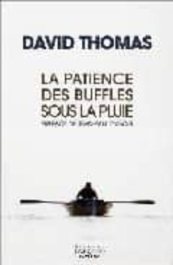 La Patience Des Buffles Sous La Pluie