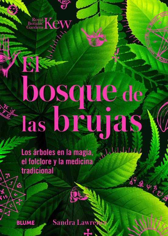 Bosque De Las Brujas