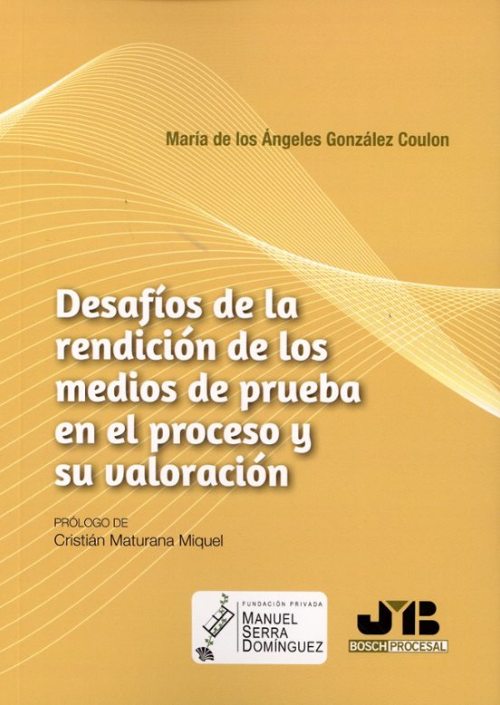 Desafíos De La Rendición De Los Medios De Prueba En El Proce Y Su Valo