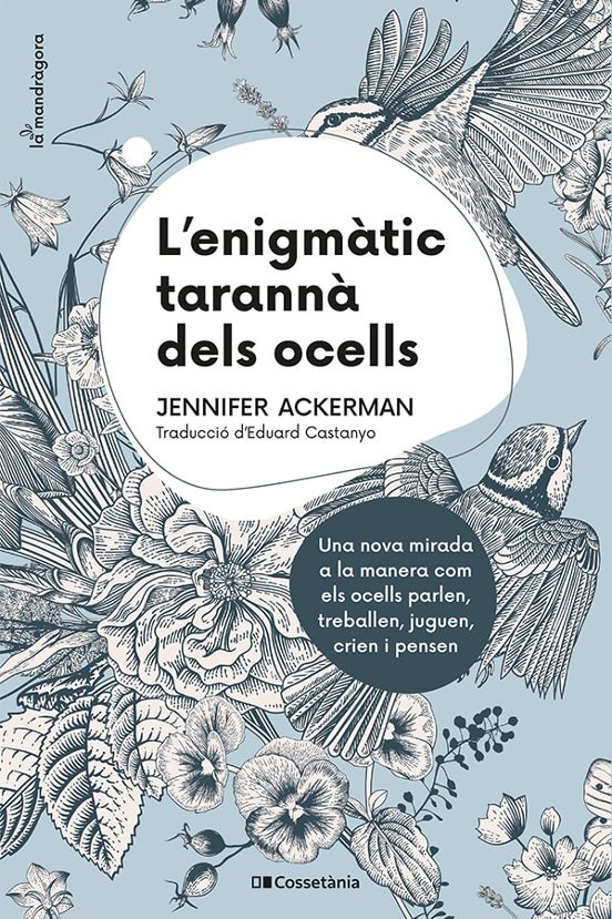 L'enigmàtic Tarannà Dels Ocells