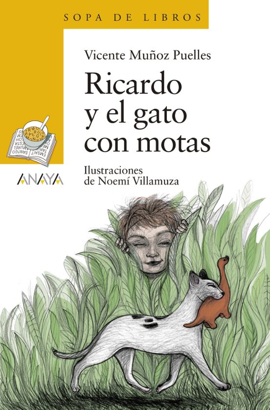 Ricardo Y El Gato Con Motas