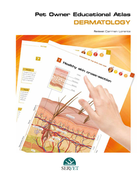 Dermatology. Pet Owner Educational Atlas
