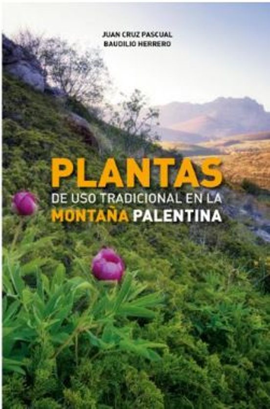 Plantas De Uso Tradicional En La Montaña Palentina