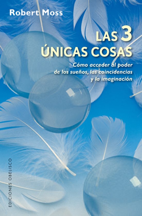 Las 3 Unicas Cosas: Como Acceder Al Poder De Los Sueños Las Coin Ciden