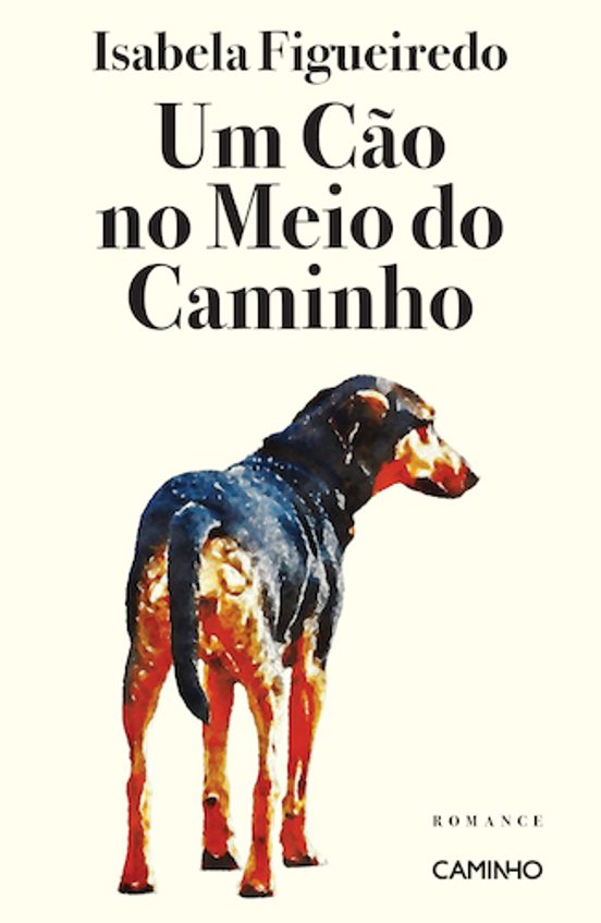 Um Cão No Meio Do Caminho