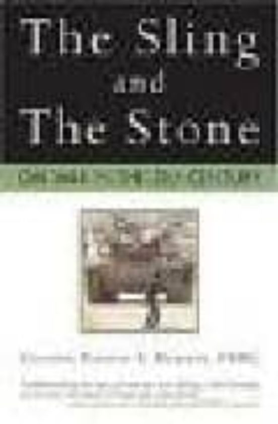 Sling And The Stone : On War In The 21st Century