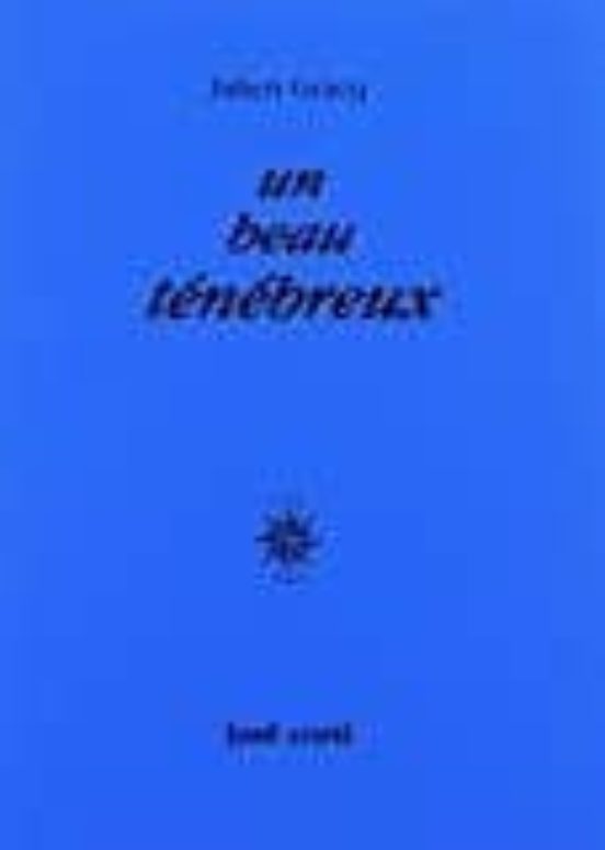 Un Beau Ténébreux