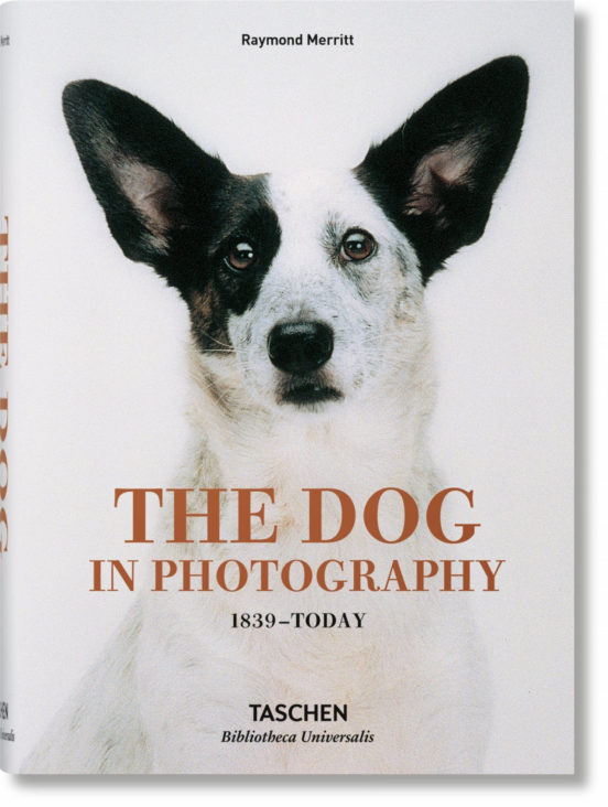 The Dog In Photography- Bib. Unversalis