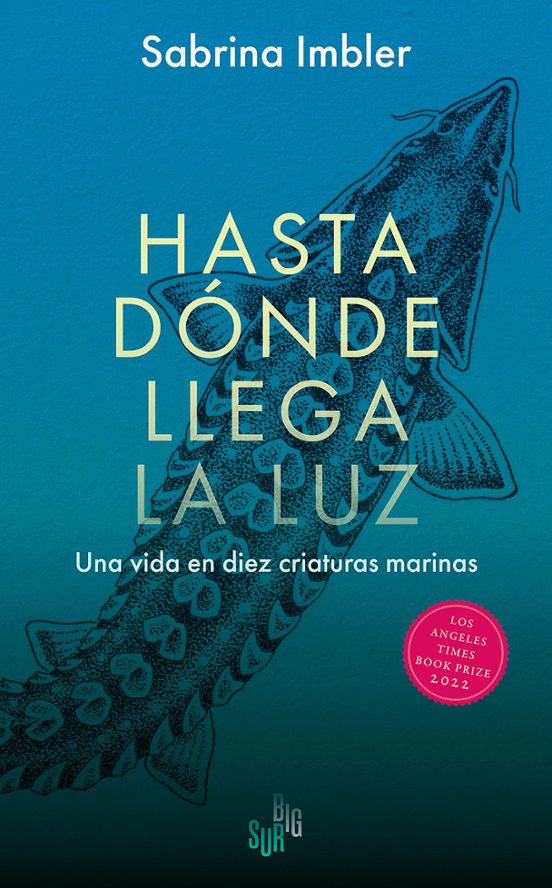 Hasta Dónde Llega La Luz