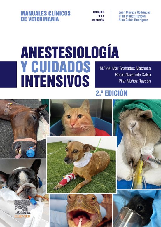 Anestesiología Y Cuidados Intensivos