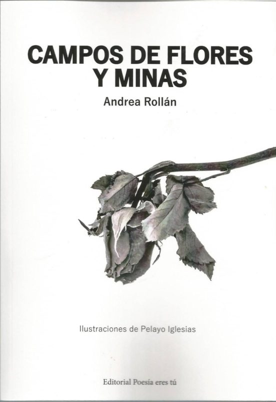 Campos de flores y minas