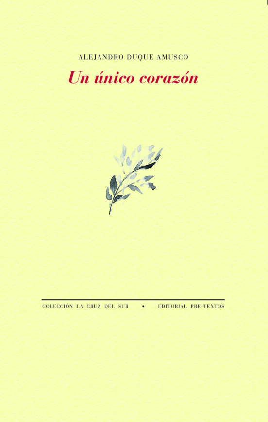 Un Único Corazón