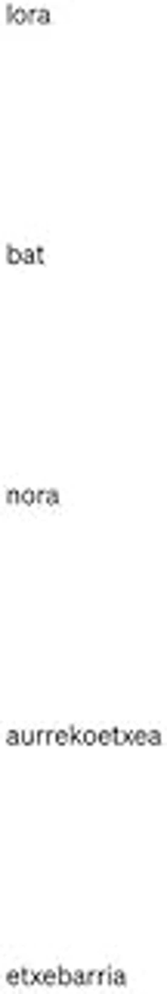Lora Bat. Nora Aurrekoetxea Etxebarría