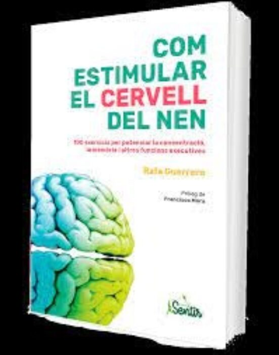 Com Estimular El Cervell Del Nen