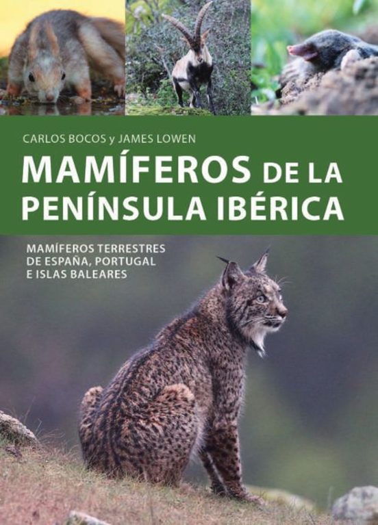 Mamiferos De La Peninsula Iberica