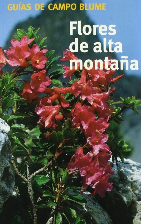 Flores De Alta Montaña