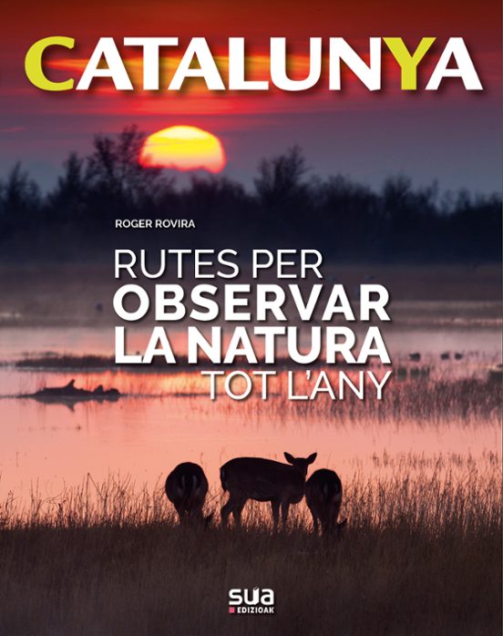 Rutes Per Observar La Natura Tot L'any