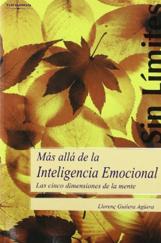 Mas Alla De La Inteligencia Emocional