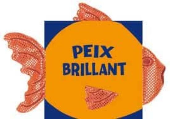 Peix Brillant: Animals Que Brillen