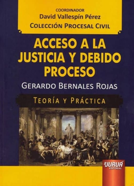 Acceso A La Justicia Y Debido Proceso: Teoria Y Practica