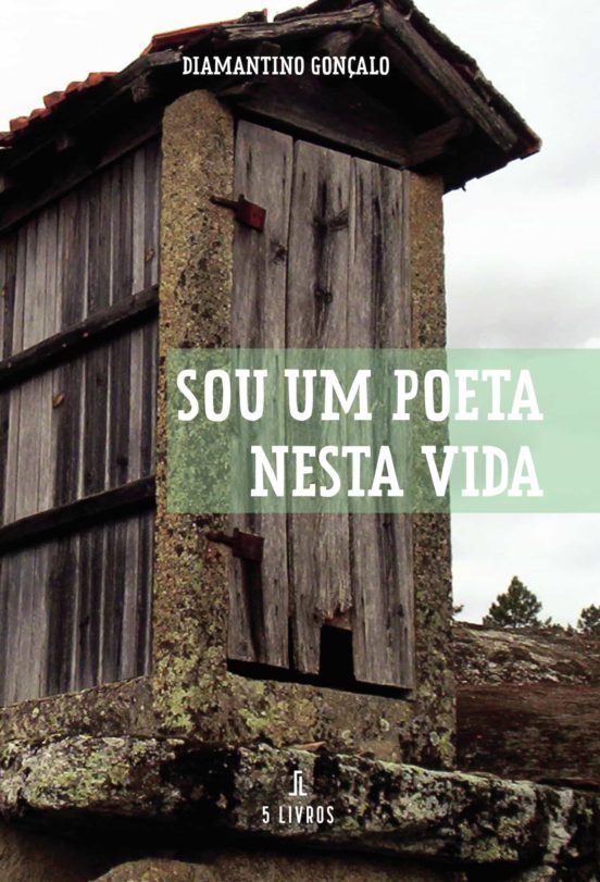Sou Um Poeta Nesta Vida