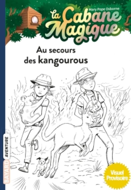 La Cabane Magique Tome 19