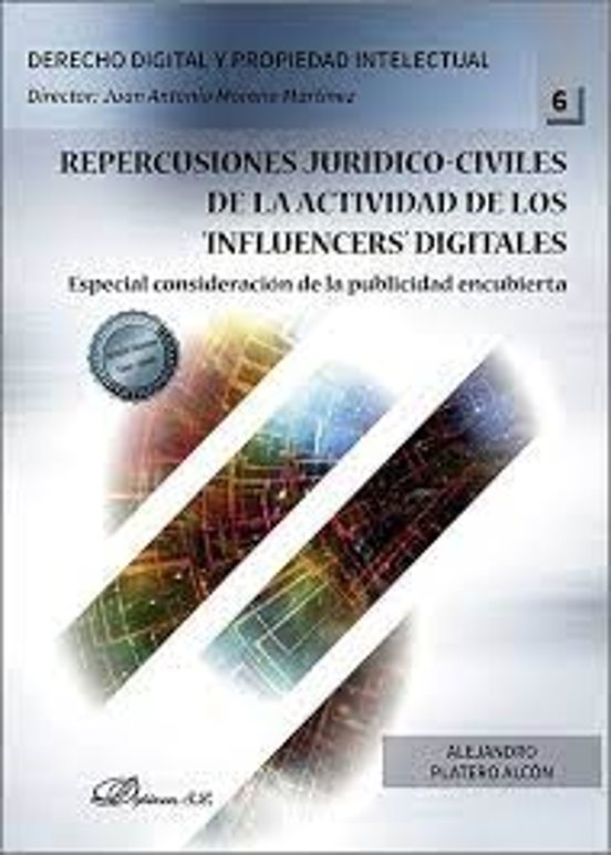 Repercusiones Jurídico-civiles De La Actividad De Los ‘in Flue