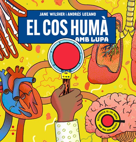 El Cos Humà Amb Lupa