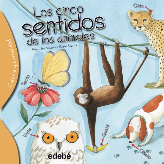 Los Cinco Sentidos De Los Animales