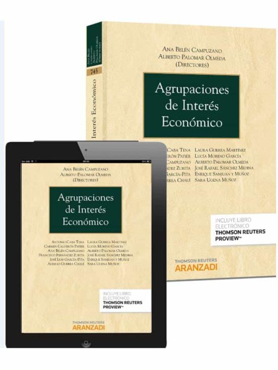 Agrupaciónes De Interés Económico