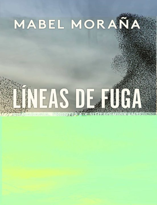 Lineas De Fuga: Ciudadania Frontera Y Sujeto Migrante