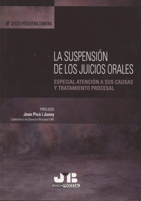 La Suspension De Los Juicios Orales: Especial Atencion A Sus Causas Y