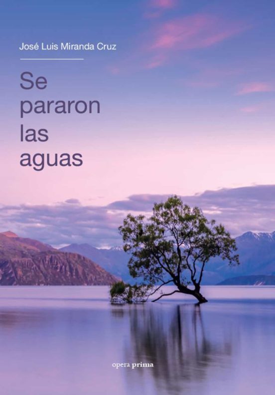 Se Pararon Las Aguas. Diario De Una Cuarentena