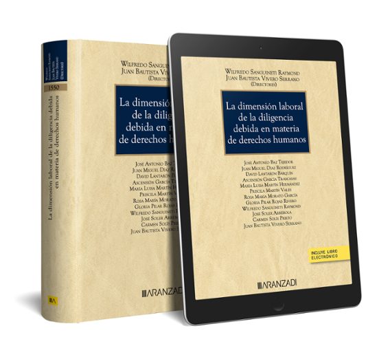 Dimensión Laboral De La Diligencia Debida En Materia De Derechos Human