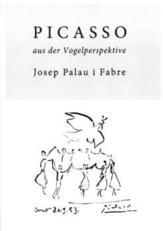 Picasso Aus Der Vogelperspektive