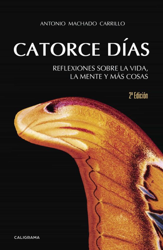 Catorce Días