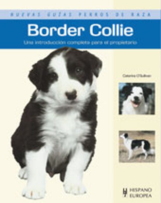 Border Collie: Nuevas Guias Perros De Raza