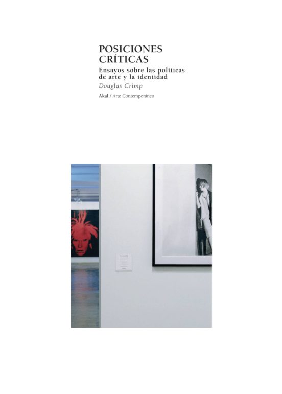 Posiciones Criticas: Ensayos sobre las Politicas de Arte y la Ide Ntid
