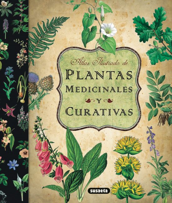 Plantas Medicinales Y Curativa: Atlas Ilustrado