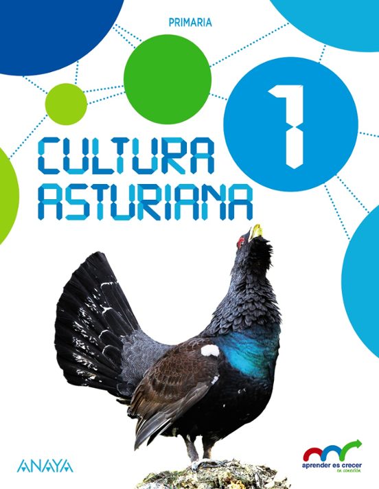 Cultura Asturiana 1º Educacion Primaria Aprender Es Crecer en Conexión