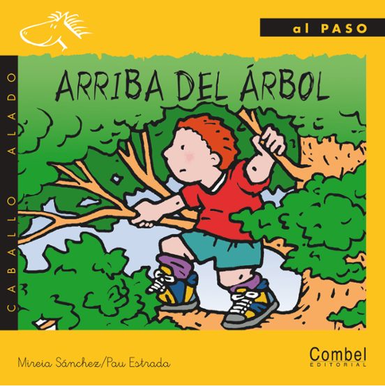 Arriba Del Árbol