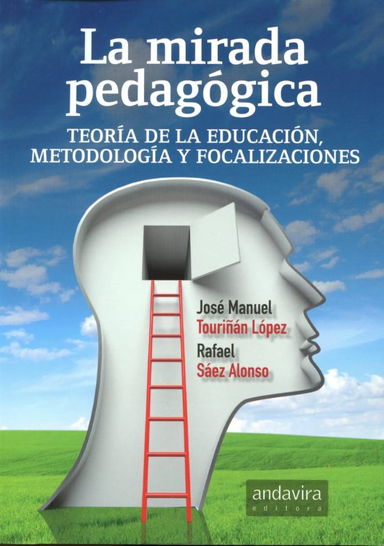 Mirada Pedagogica. Teoria De La Educacion Metodologia Y Focalizaciones