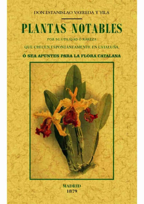 Plantas Notables Por Su Utilidad O Rareza Que Crecen Espontaneamente E