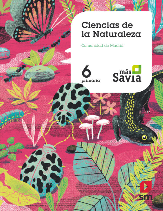 Naturales 6º Educacion Primaria Más Savia Ed 2019 Madrid