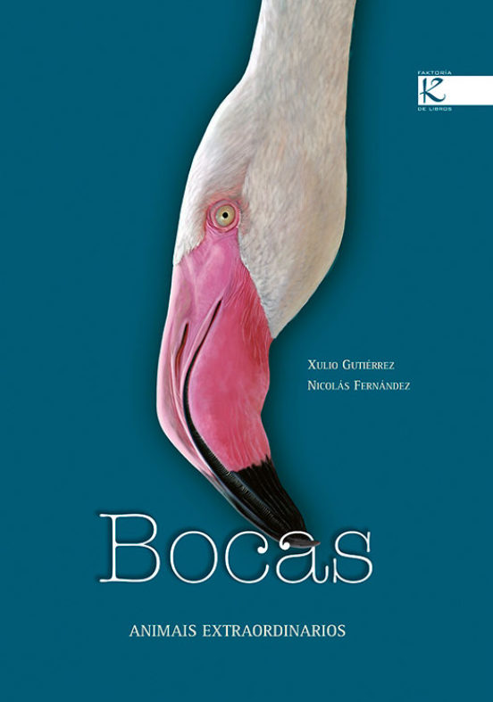 Bocas