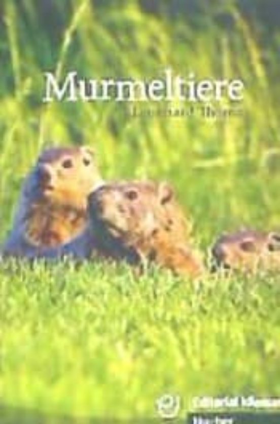 Murmeltiere