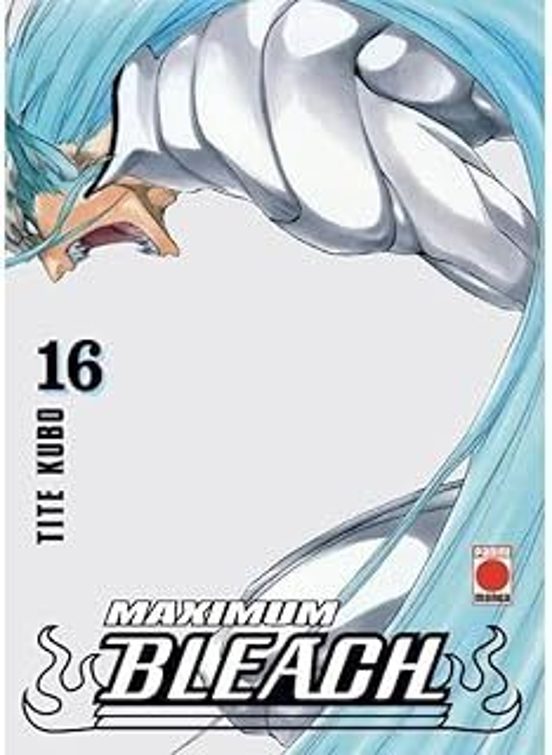 Bleach Maximum 16