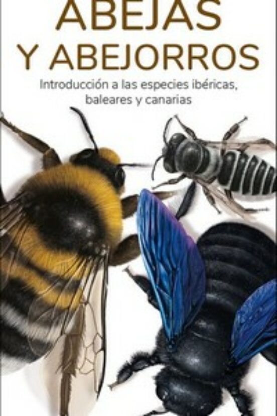 Abejas Y Abejorros - Guias Desplegables Tundra