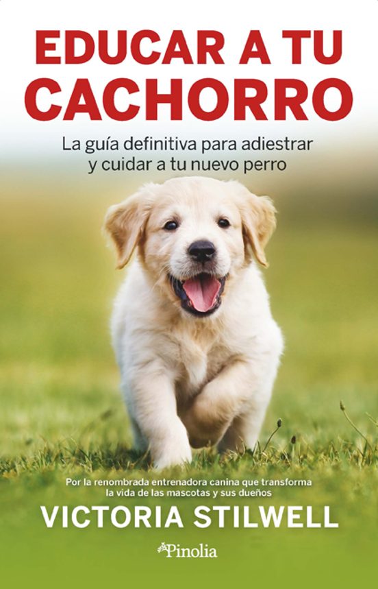 Cómo Educar A Tu Cachorro